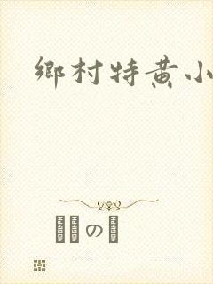 乡村特黄小说