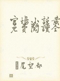 官场小说黄安国免费阅读全文