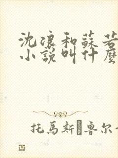 沈浪和苏若雪的小说叫什么