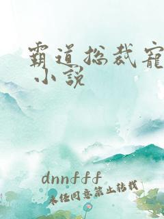 霸道总裁宠上天 小说