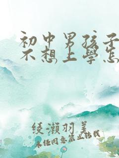 初中男孩子叛逆不想上学怎么办