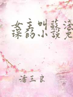 女主叫苏浅霍霆琛的小说免费阅读