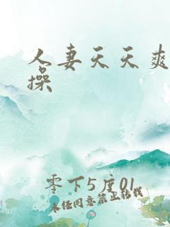 人妻天天爽天天操