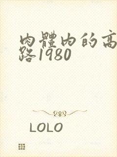 肉体内的高速公路1980