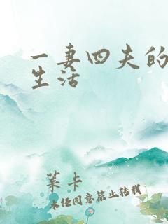 一妻四夫的幸福生活