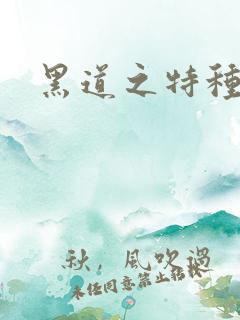 黑道之特种兵王
