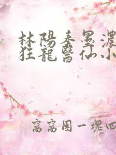林阳秦墨浓都市狂龙医仙小说