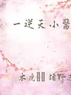 一逆天小医仙