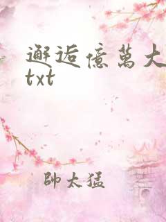 邂逅亿万大人物txt