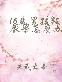 16岁男孩叛逆厌学怎么办