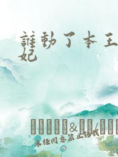 谁动了本王的悍妃