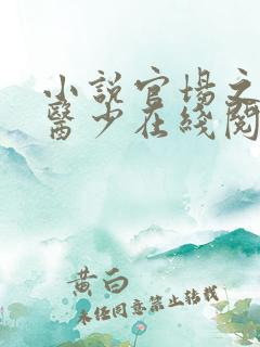 小说官场之风流医少在线阅读