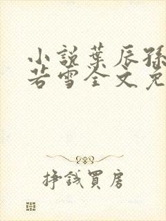 小说叶辰孙怡夏若雪全文免费阅读