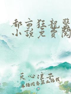 都市狂龙医仙的小说免费阅读