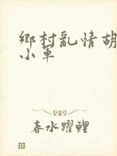乡村乱情胡秀英小军