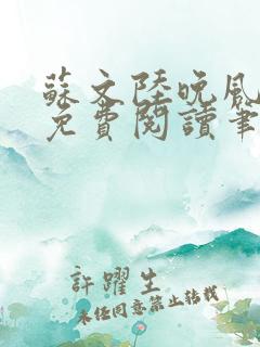 苏文陆晚风小说免费阅读笔趣阁