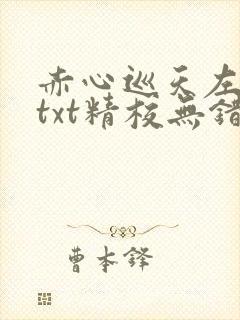 赤心巡天左光烈txt精校无错版