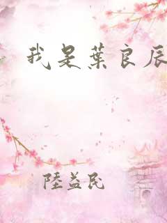 我是叶良辰