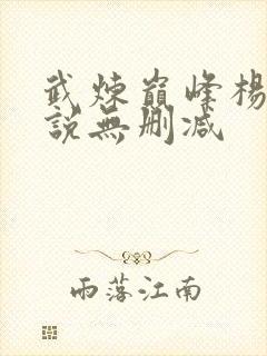 武炼巅峰杨开小说无删减