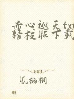 赤心巡天txt精校版下载