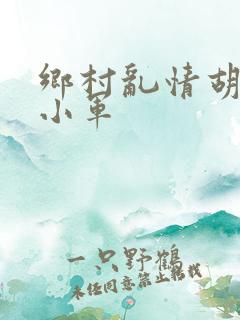 乡村乱情胡秀英小军