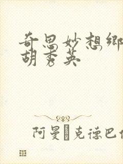 奇思妙想乡村情胡秀英