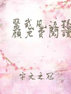 医武风流孙哲朱颜免费阅读