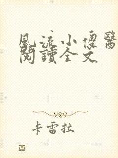 风流小傻医免费阅读全文