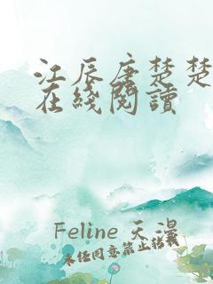 江辰唐楚楚小说在线阅读