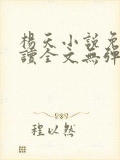 杨天小说免费阅读全文无弹窗