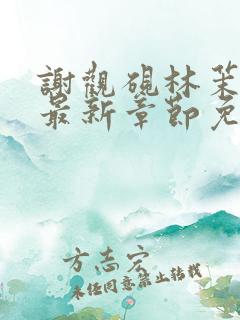 谢观砚林茉小说最新章节免费阅读全文