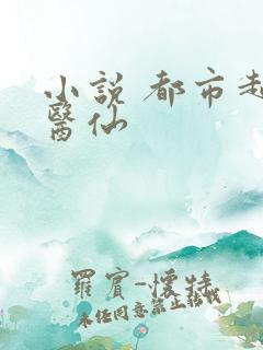 小说 都市超级医仙