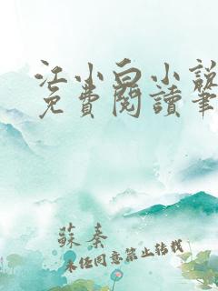 江小白小说全文免费阅读笔趣阁