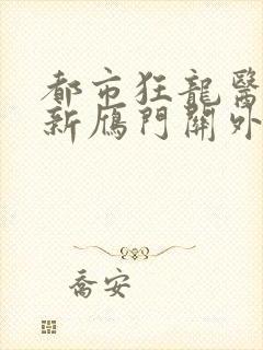 都市狂龙医仙最新雁门关外