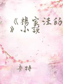 《杨家洼的情事》小说