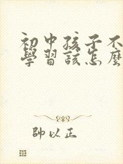 初中孩子不好好学习该怎么办