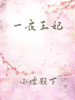 一夜王妃