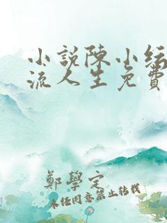 小说陈小纭的风流人生免费阅读