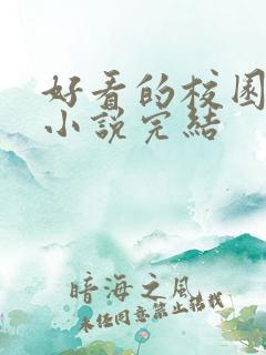 好看的校园言情小说完结