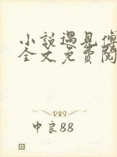 小说遇见傅先生全文免费阅读