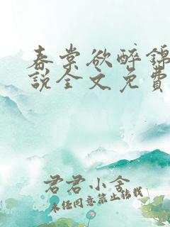 春棠欲醉锦一小说全文免费阅读