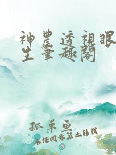 神农透视眼王木生笔趣阁