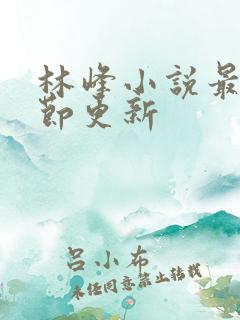 林峰小说最新章节更新