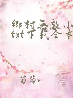乡村无敌小医仙txt下载全本