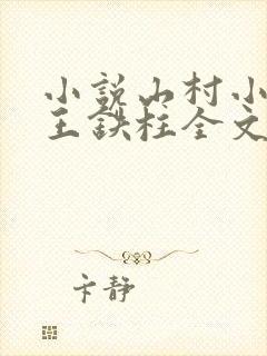小说山村小神医王铁柱全文免费阅读