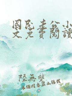 国民老公小说全文免费阅读