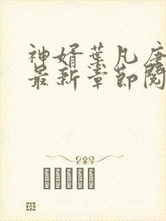神婿叶凡唐若雪最新章节阅读