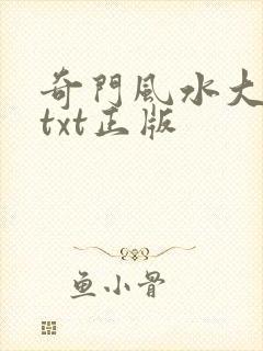 奇门风水大天师txt正版