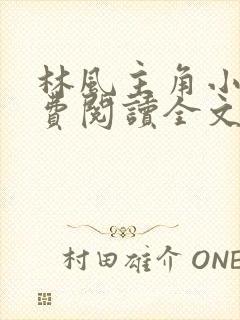林风主角小说免费阅读全文无弹窗