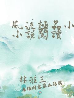 风流极品小仙医小说阅读